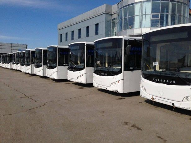 60 новых автобусов для Тольятти
