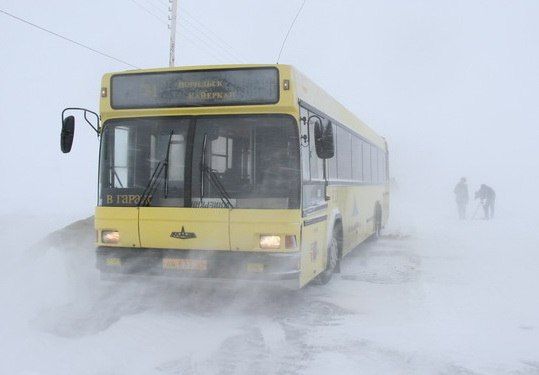Тольяттинцы могут изменить работу автобусов