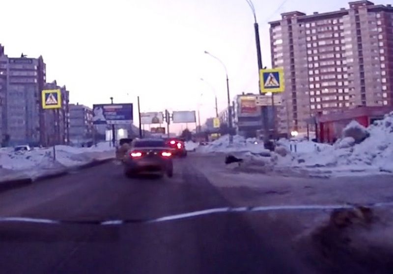 Видеозапись Вконтакте помогла поймать водителя, сбившего пешехода 