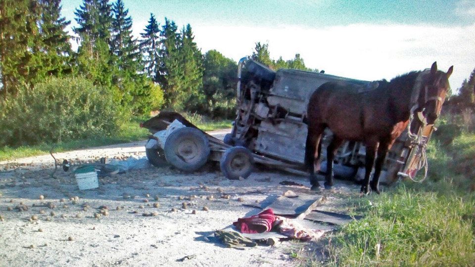 Наезд на гужевой транспорт дтп