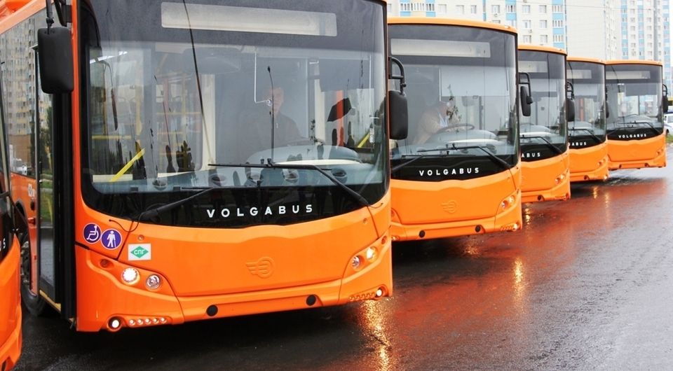 Тольятти закупает 60 автобусов