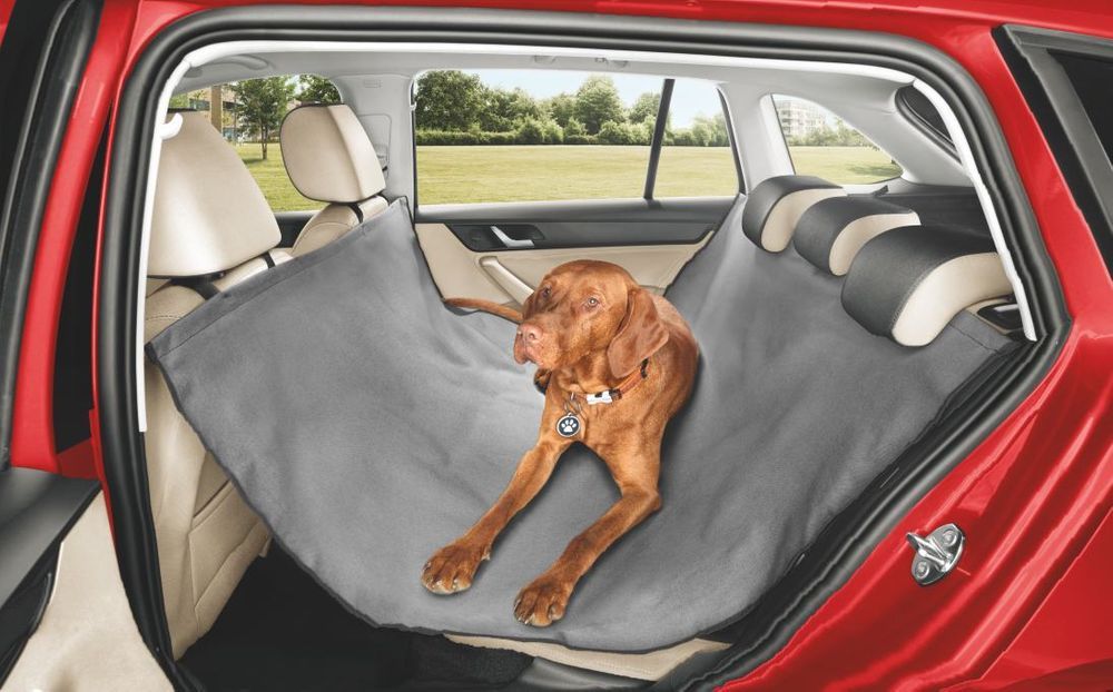 Пять правил безопасной перевозки домашних животных на автомобиле от ŠKODA
